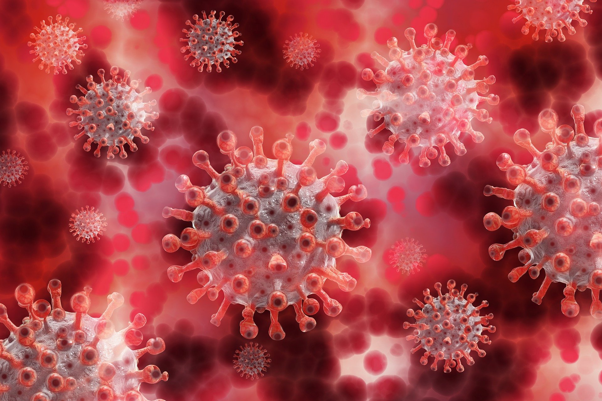 Coronavirus - aktuelle Hinweise der EKM zur Abfallentsorgung